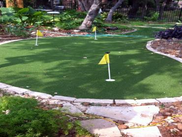 Artificial Grass Photos: Fake Pet Grass Long Beach California Landscape, Lawns